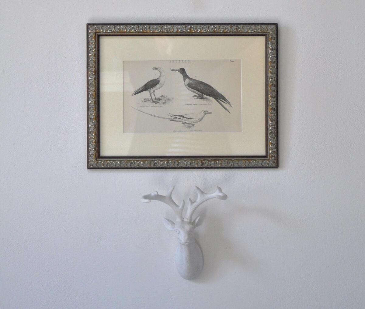 Apartment The Swallows'